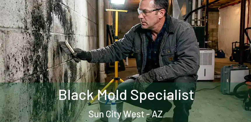 Black Mold Specialist Sun City West - AZ