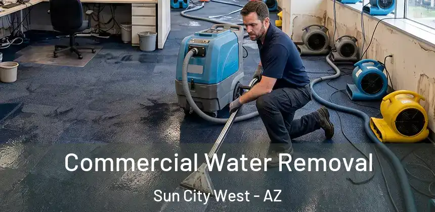  Commercial Water Removal Sun City West - AZ