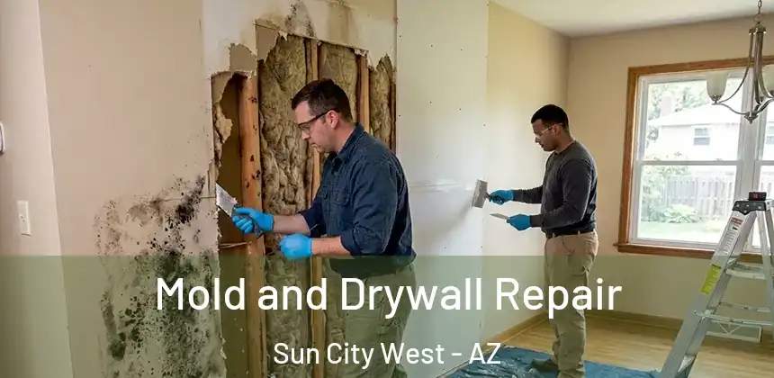  Mold and Drywall Repair Sun City West - AZ