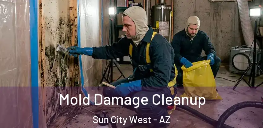  Mold Damage Cleanup Sun City West - AZ