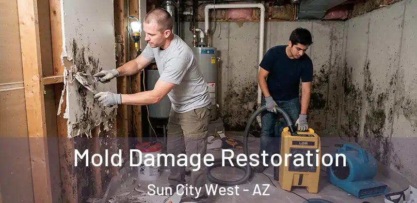 Mold Damage Restoration Sun City West - AZ