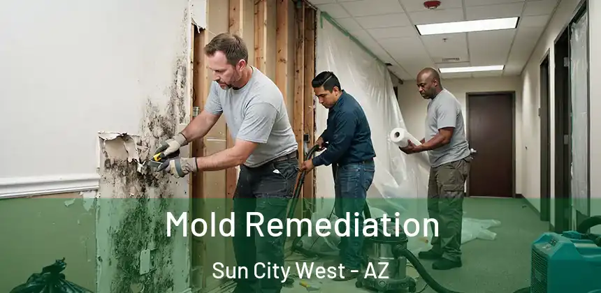 Mold Remediation Sun City West - AZ