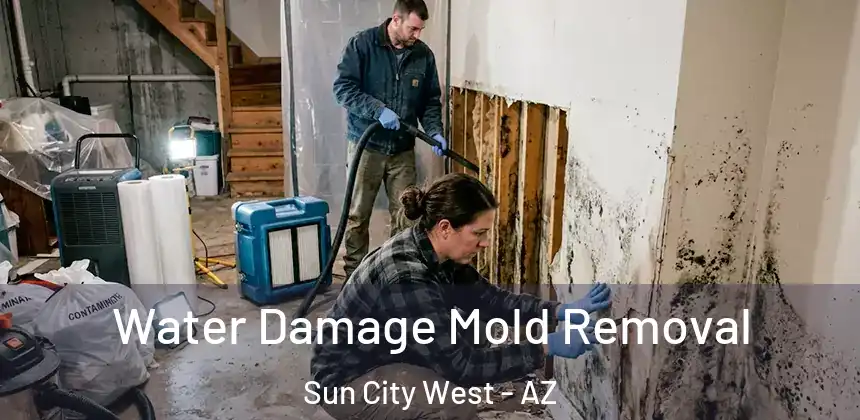 Water Damage Mold Removal Sun City West - AZ