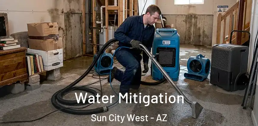  Water Mitigation Sun City West - AZ