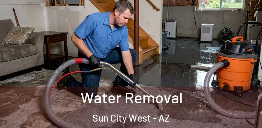 Water Removal Sun City West - AZ
